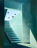 Walter Dermul - Birds