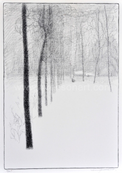 Spilliaert Léon - De dreef