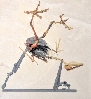Panamarenko  - Archaeopteryx collage