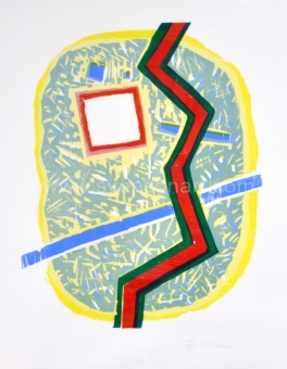 Raveel Roger - Een abstractie in mijn tuin