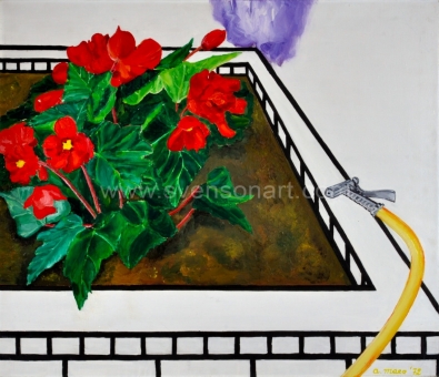 Maes  Agnes - Begonia in bloembak met tuinslang