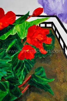 Maes  Agnes - Begonia in bloembak met tuinslang