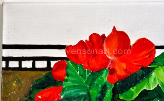 Maes  Agnes - Begonia in bloembak met tuinslang