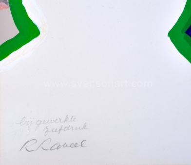 Raveel Roger - Aanschouwen (bijgewerkt)