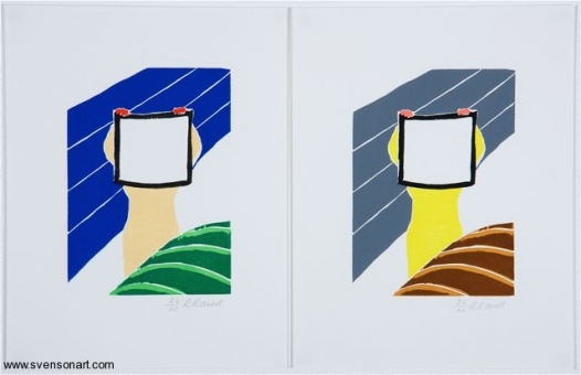 Raveel Roger - Hersenslag