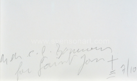 Borremans Michael - For Saint Jan