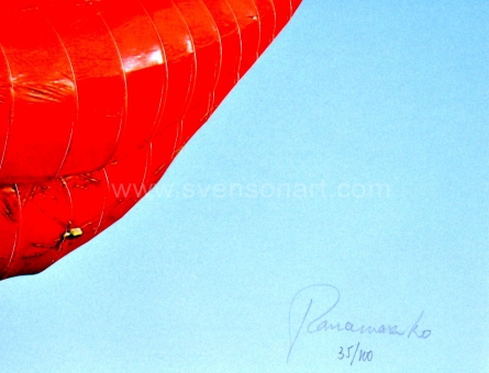 Panamarenko  - The Aeromodellers