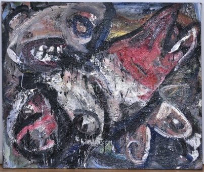 Vandenberg Philippe - De viseter