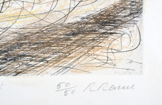 Raveel Roger - Boom en bos (bijgewerkt)