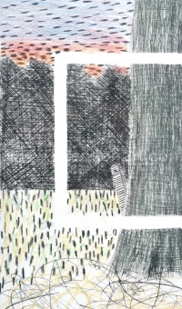 Raveel Roger - Boom en bos (bijgewerkt)