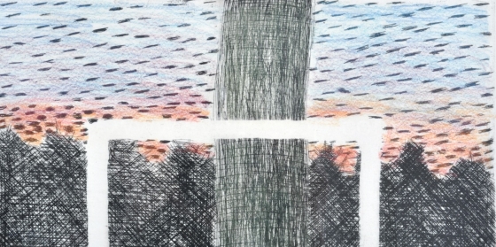 Raveel Roger - Boom en bos (bijgewerkt)