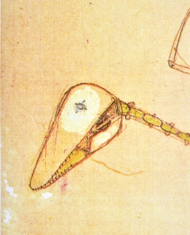 Panamarenko  - Archaeopterix (oker)
