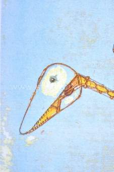 Panamarenko  - Archaeopterix (blauw)