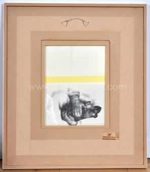 Borremans Michael - Bad news