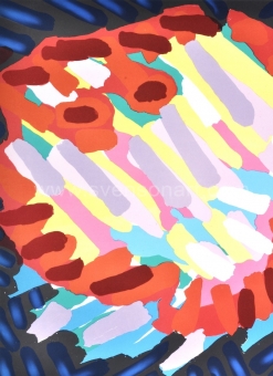 Appel Karel - I am a Fish Why Not