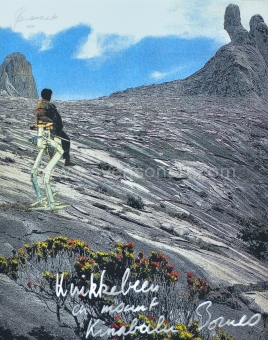 Panamarenko  - Knikkebeen