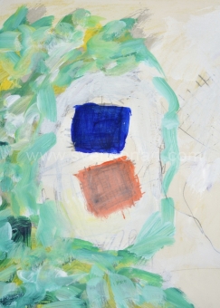 Raveel Roger - Een kosmische natuurervaring