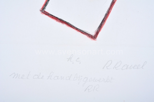 Raveel Roger - Tegenover het vlak