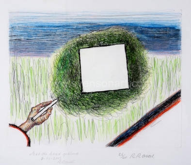 Raveel Roger - Een drang naar volmaaktheid (bijgewerkt)