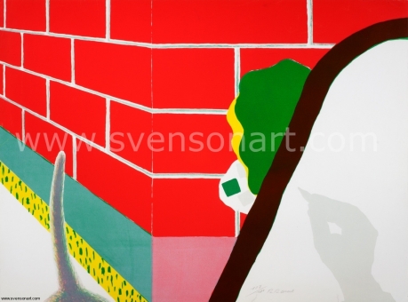 Raveel Roger - Wat gebeurt er om het hoekje?